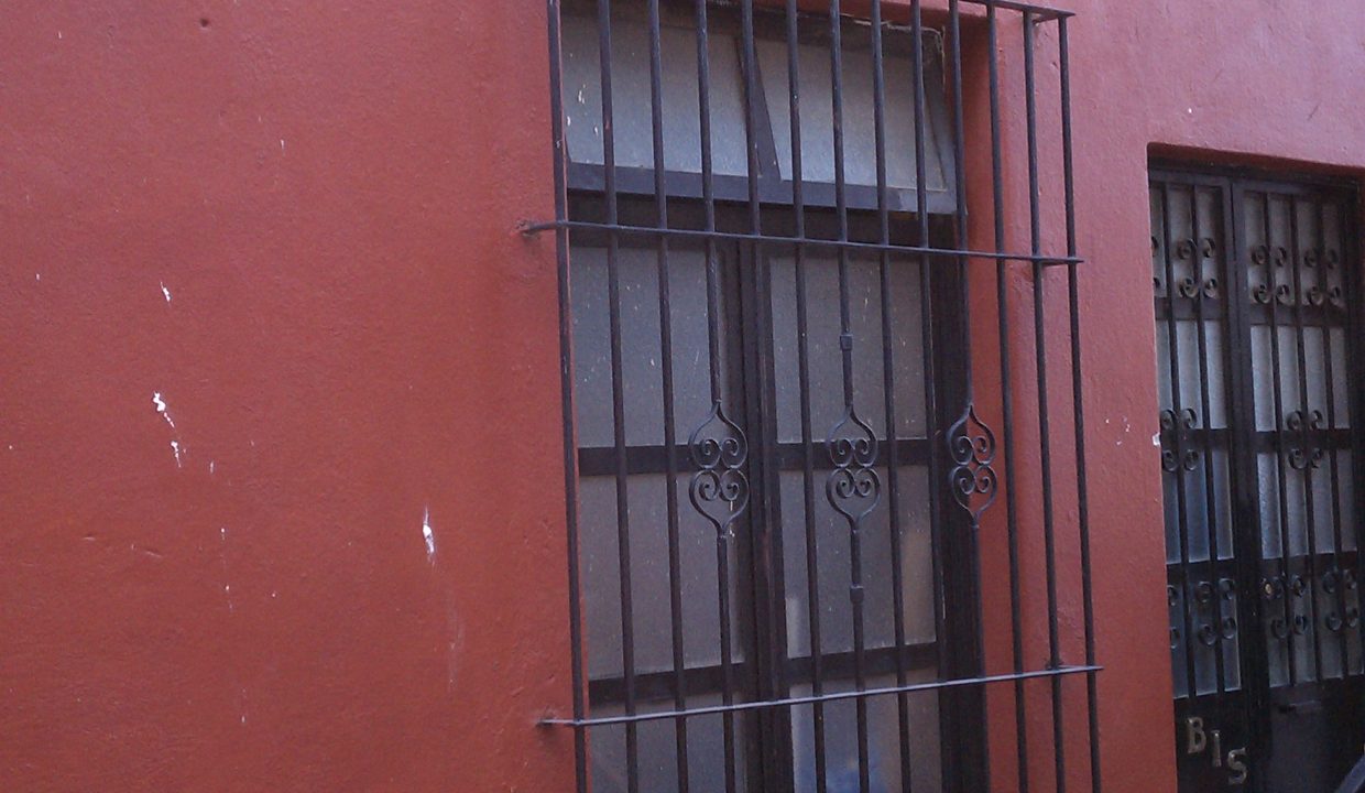 IMAG0081
