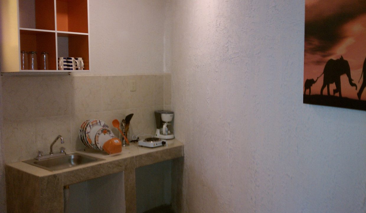 IMAG0466