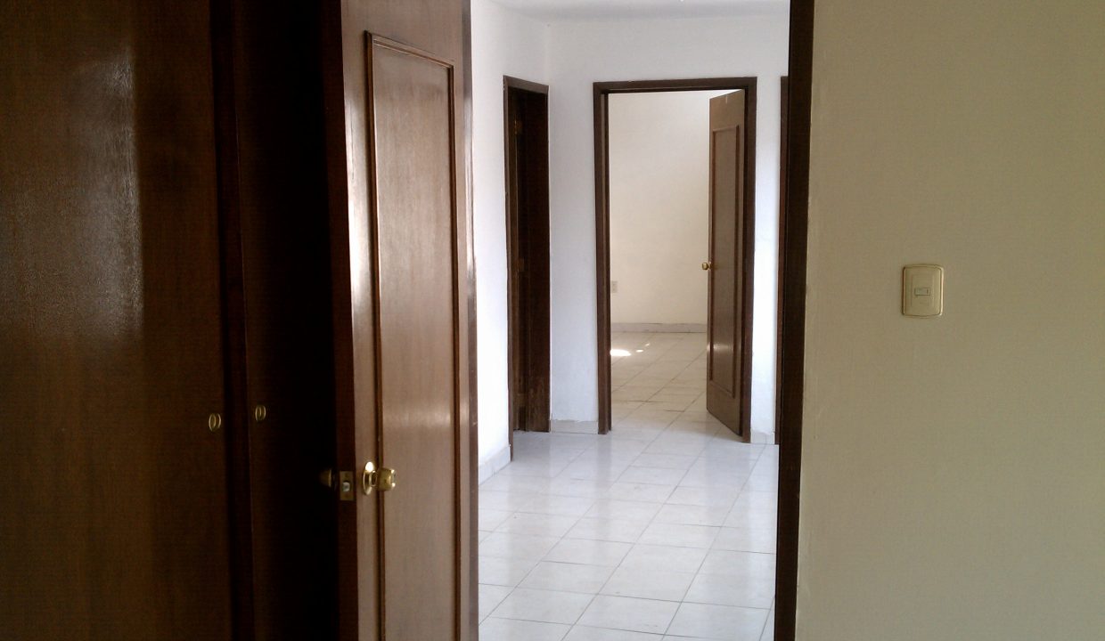IMAG0539