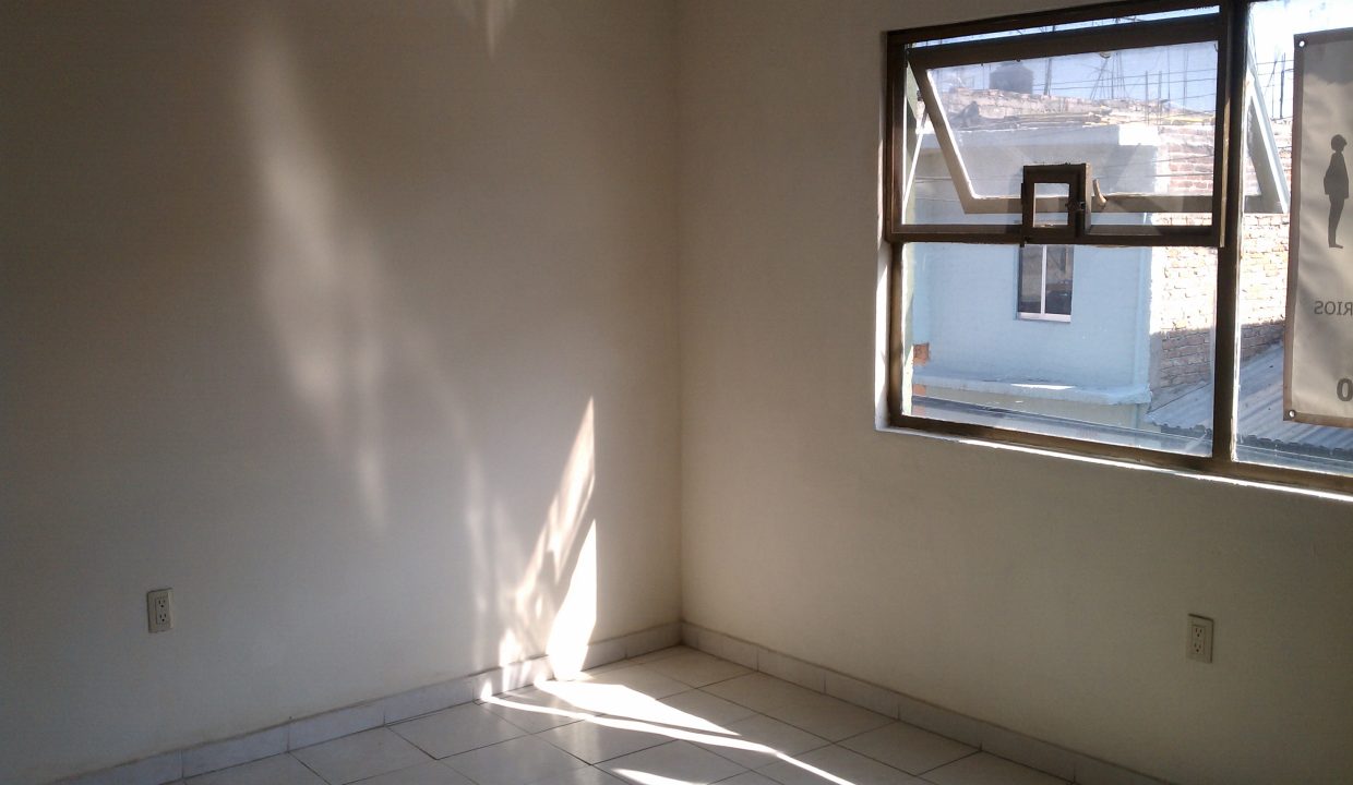 IMAG0541