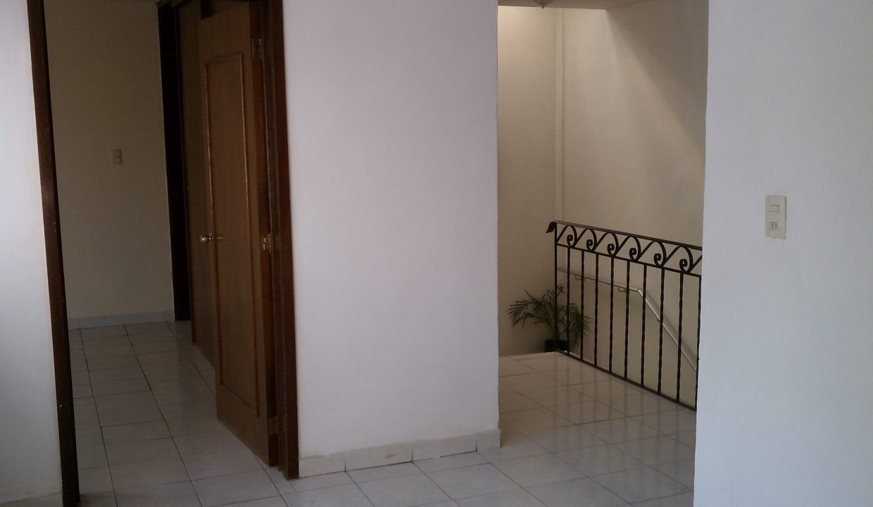 IMAG0543