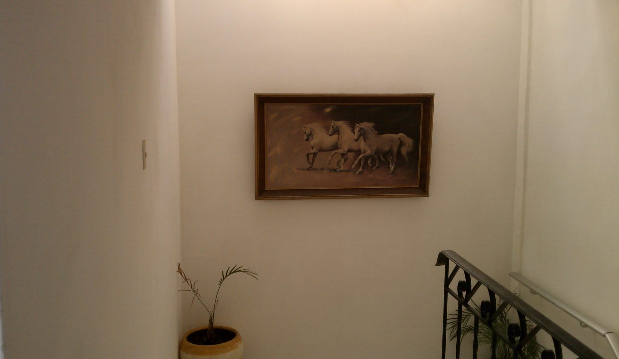 IMAG0546