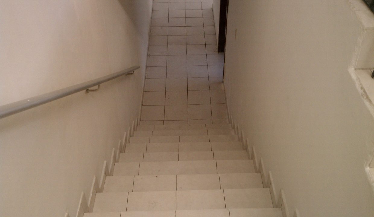 IMAG0547