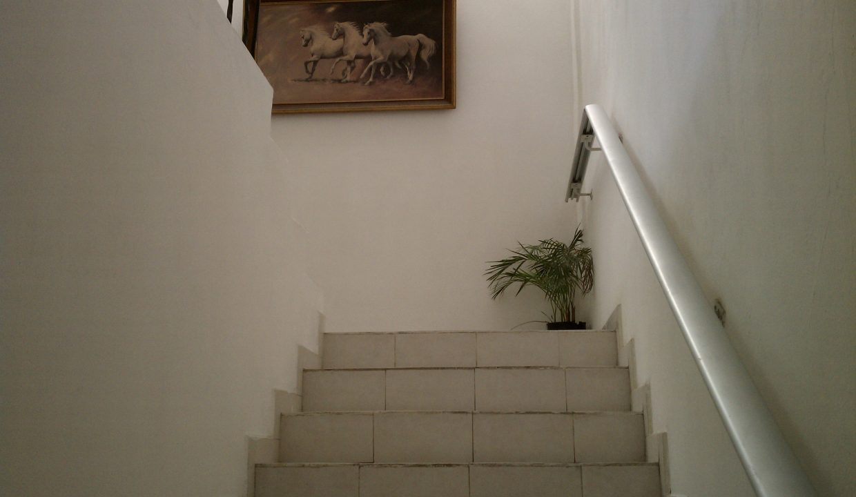 IMAG0548