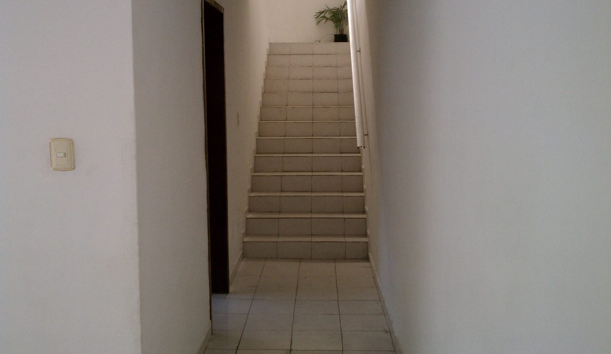 IMAG0551