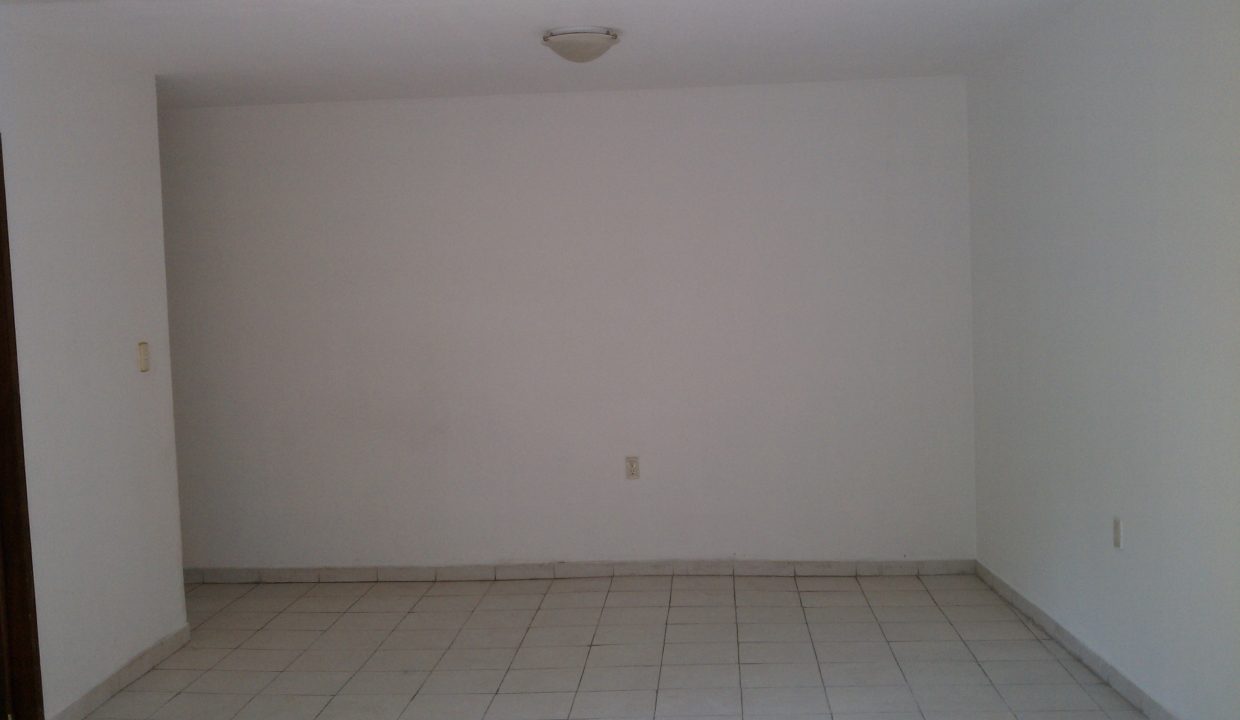 IMAG0554