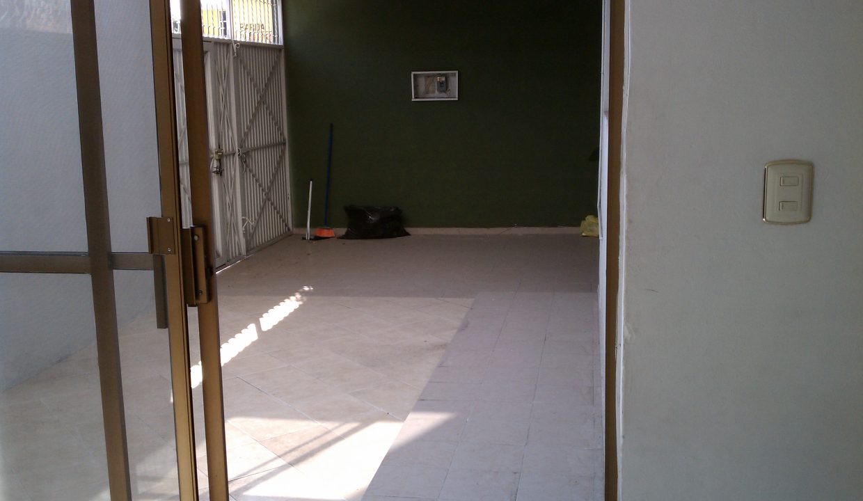 IMAG0555