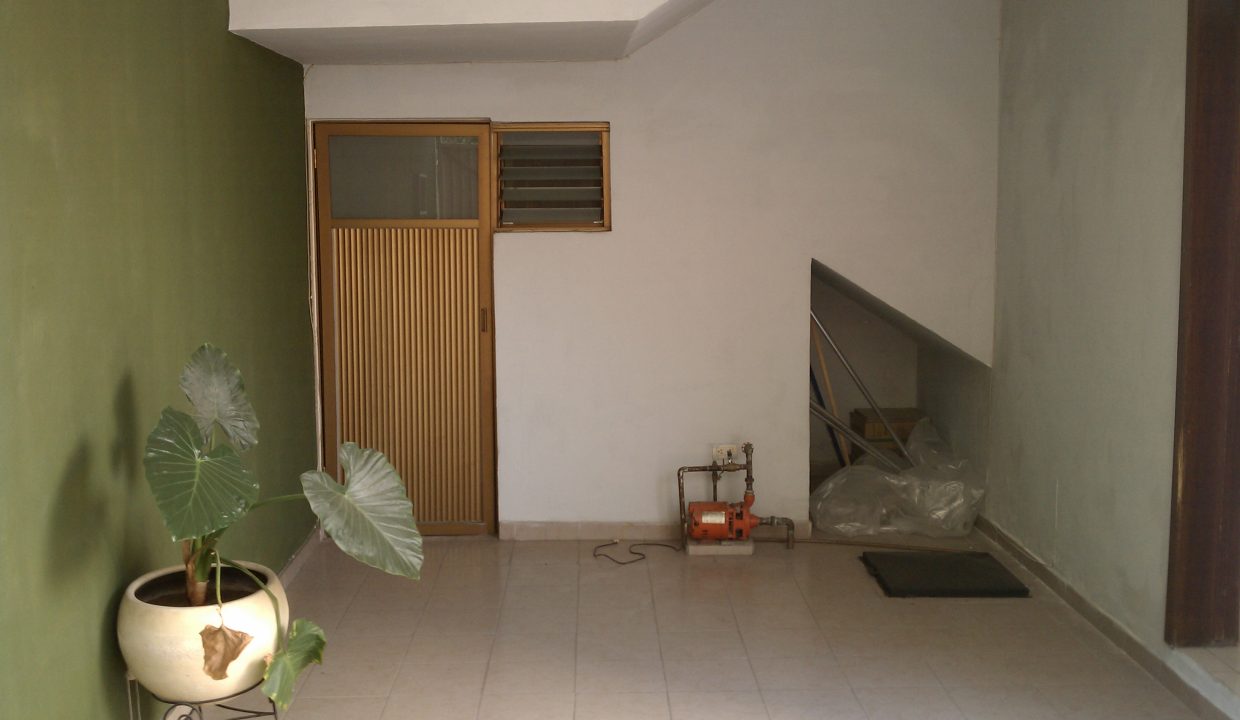 IMAG0557
