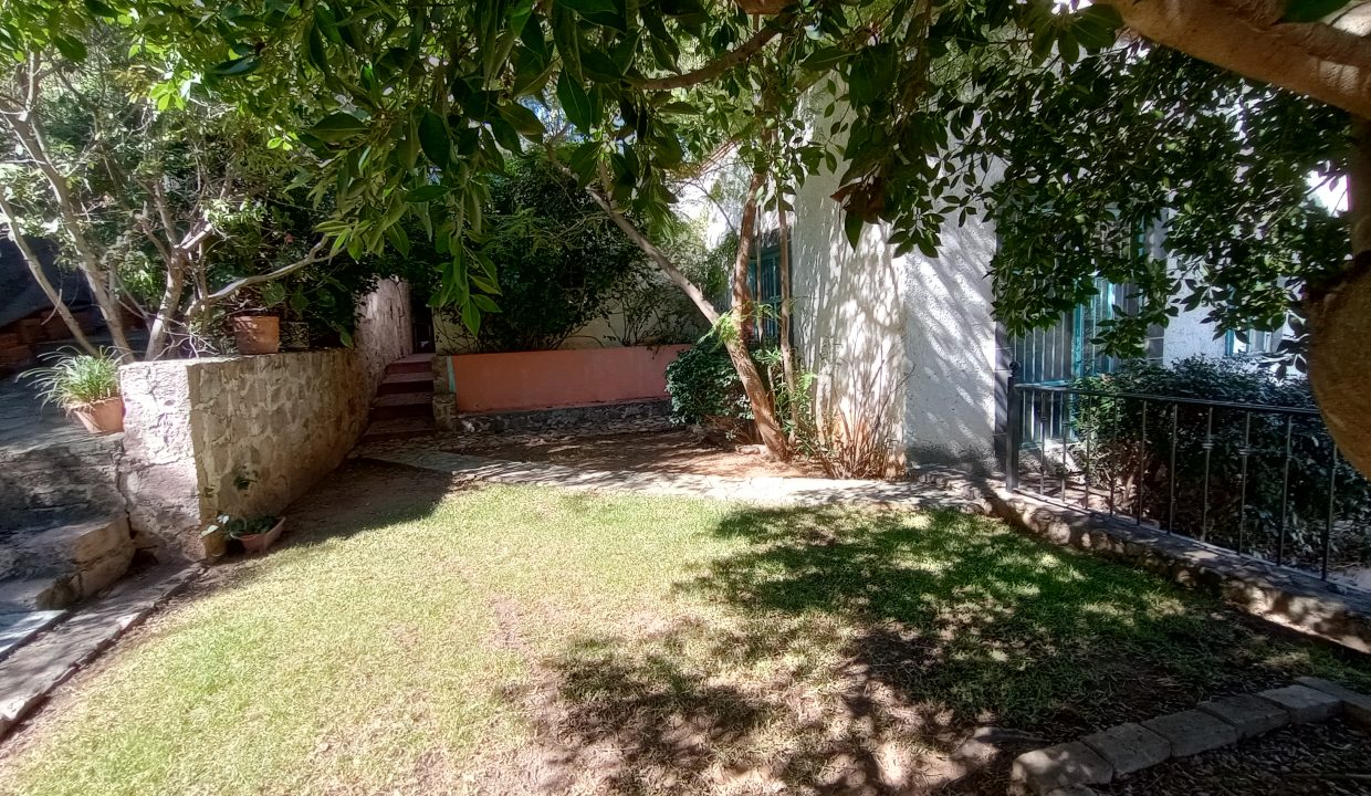 profesionales inmobiliarios renta en guanajuato