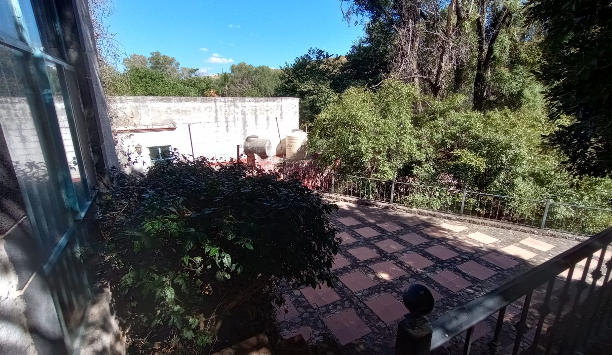 ven de vacaciones a guanajuato